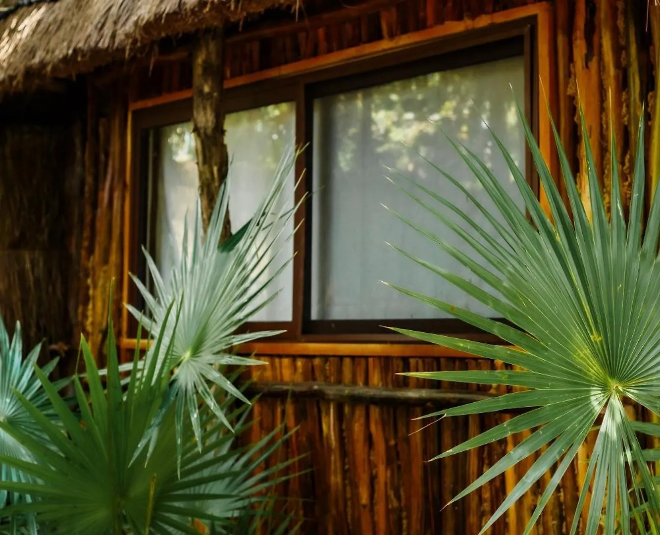 Eco Banitas Tulum Hotel