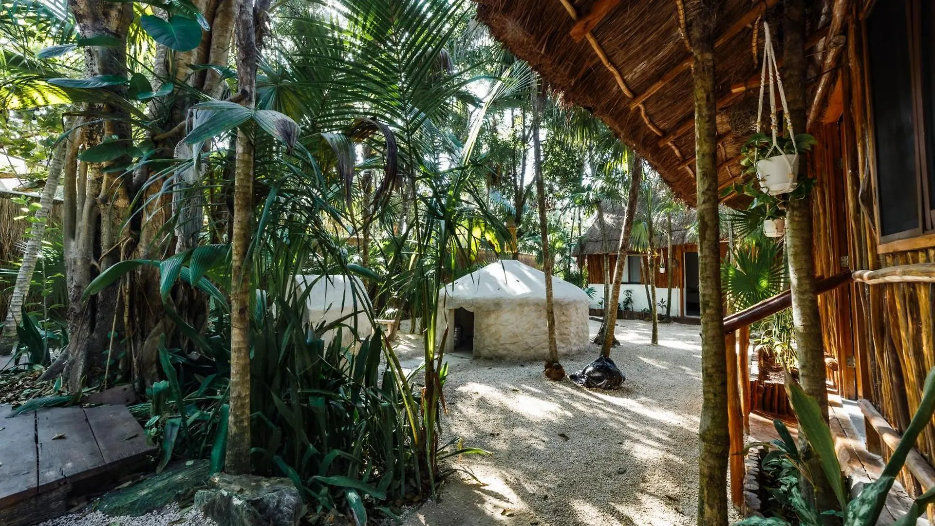 Eco Banitas Tulum Hotel