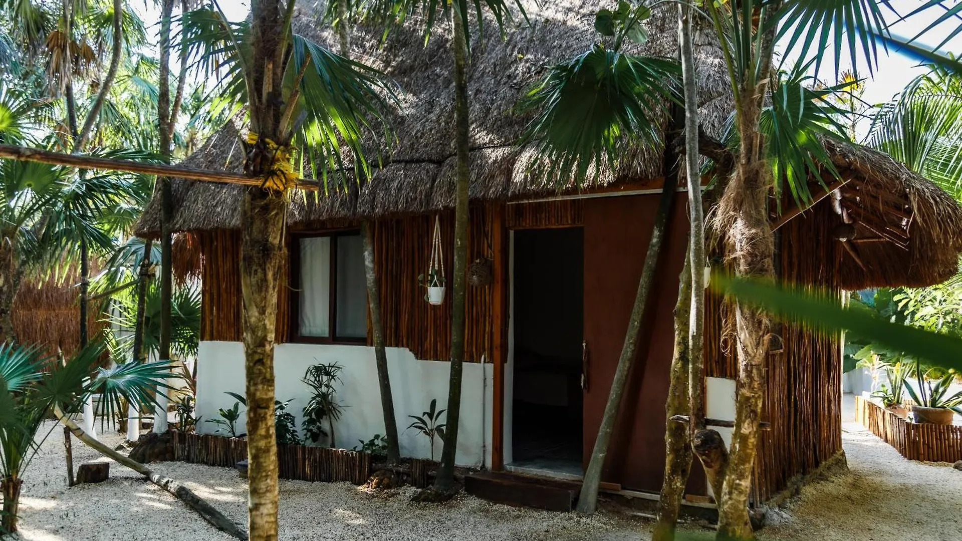 Eco Banitas Tulum Hotel Mexico