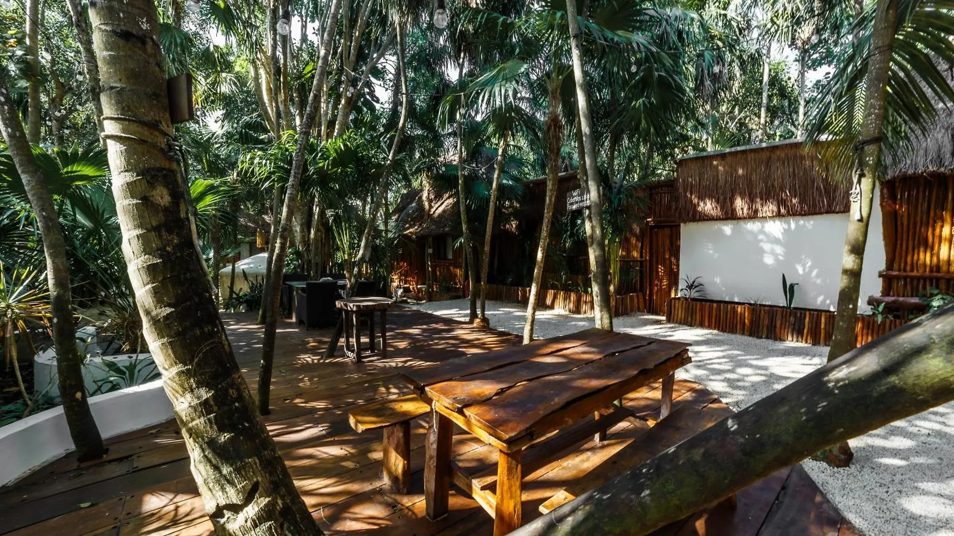 Eco Banitas Tulum Hotel