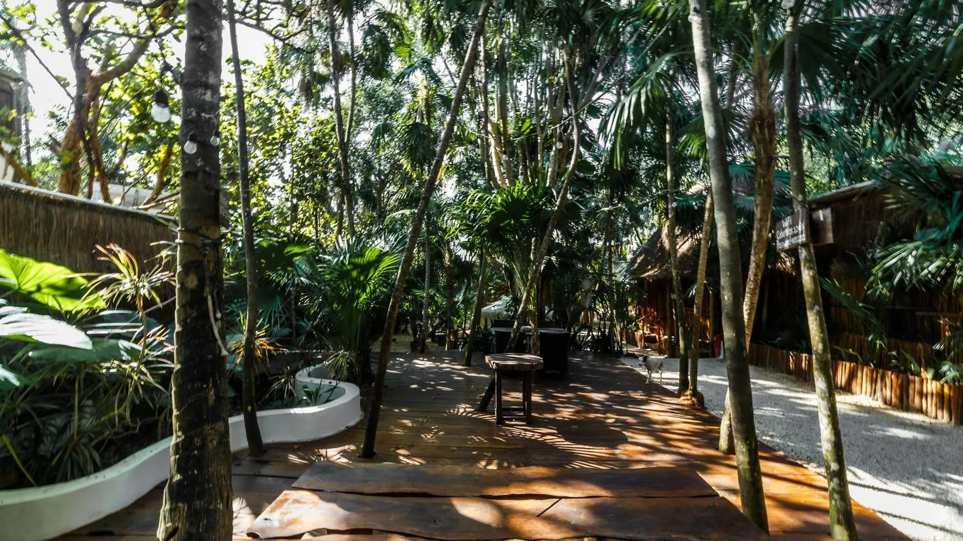 Eco Banitas Tulum Hotel 0*,