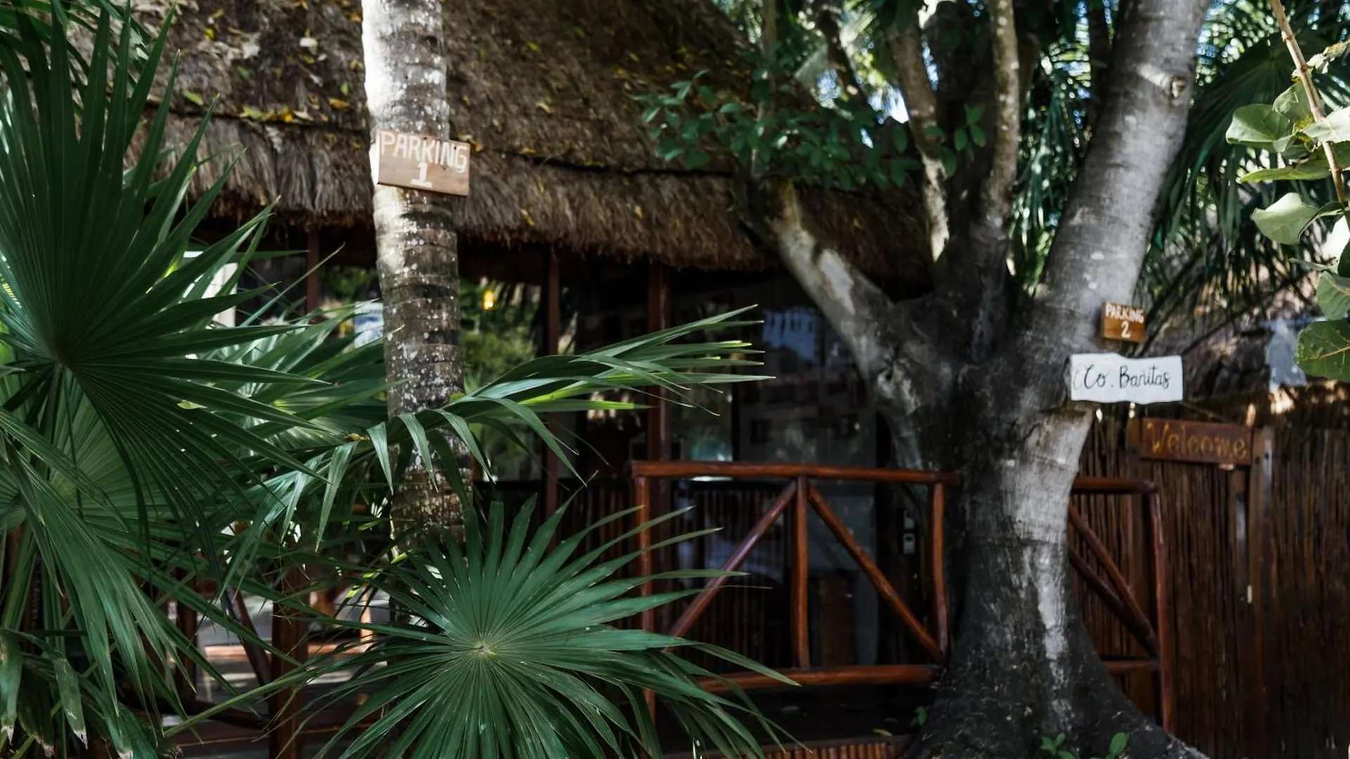 Hotel Co.Bañitas Tulum México